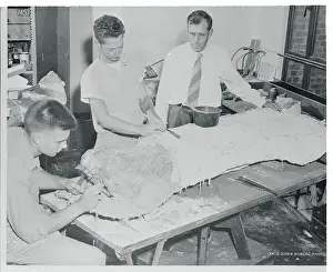 New Haven Prints: Dinosaur Bone Excavation