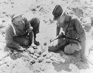 Mongolia Prints: Dinosaur Egg Discoverer George Olsen Showing His Find