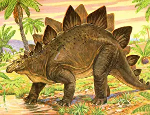 Prints of Paleontology Art Illustration Prints: Dinosaur in the Jungle