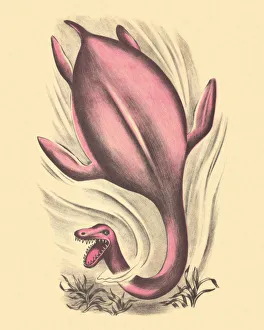 Cruel Gallery: Dinosaur Swimming