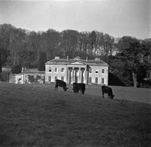 Dinton Park