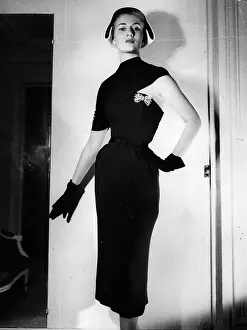 Designer Collection Prints: Dior Design