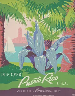 Palm Prints: Discover Puerto Rico U.S.A