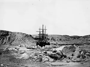 The Discovery