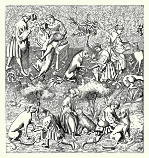 Diseases of Dogs and their Cure