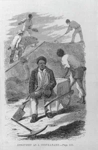 Espionage Prints: Disguised as a Contraband Book Illustration