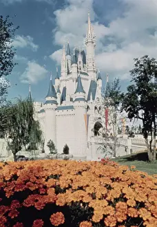 Disneyworld