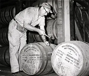 Stopping Prints: Distiller Plugging Whiskey Barrel