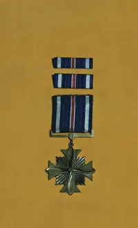 Honor Prints: Distinguished Flying Cross