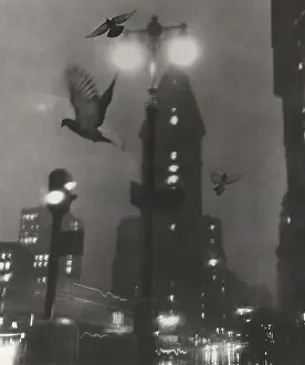 Prints of New York, NY - JANUARY 1959: A distorted, nighttime image of birds flying in front of the Flatiron Building at 175 Fifth Avenue and 23rd Street, in 1959 in New York City, New York Portraits, Artworks, and Montages from a Visionary Photographer: Distorted Image of the Flatiron Building in the 1950's