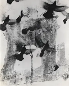 Prints of New York, NY - JANUARY 1958: A distorted image of birds flying in front of the Washington Square Arch in Washington Square Park, in March 1957 in Greenwich Village, in New York City, New York Portraits, Artworks, and Montages from a Visionary Photographer: Distorted Image of the Washington Square Arch in the 1950's