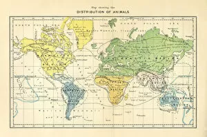 Images Dated 30th May 2017: Distribution of Animals Map, Engraving, 1892