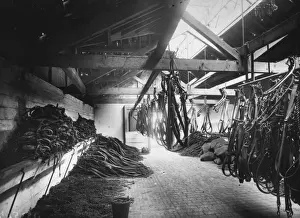 Transport H Prints: Disused Harnesses