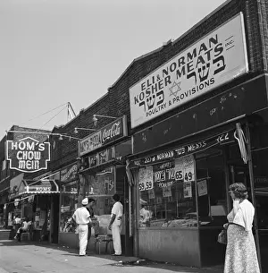 Ethnic Diversity Prints: Diverse Restaurants and Stores in Brooklyn