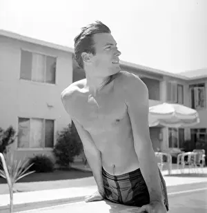 Diving Board