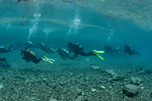Actions Prints: Diving school, Gruener See Lake, Styria, Austria, Europe
