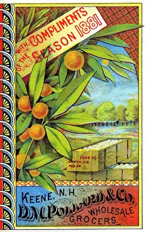 Oranges Prints: D.M. Pollard & Co Wholesale Grocers