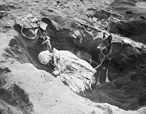 Private Prints: Doberman Watching over Sleeping American Marine