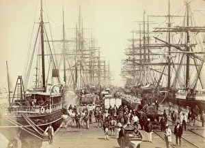 Transport Rail Prints: Dock Railway