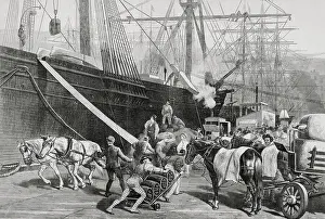 Strategy Prints: Dock Workers Loading Horse Drawn Goods to Ship