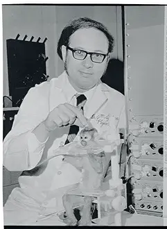 Doctor Adjusting Brain Implant on Monkey