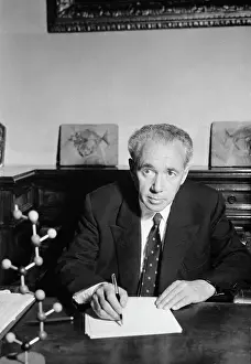 Plastic Prints: Doctor Guilio Natta at His Desk