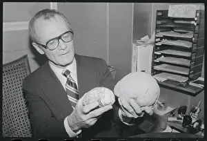 Doctor Holding Models of Brains