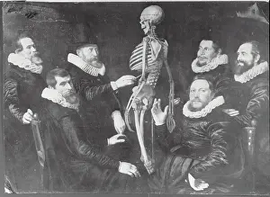 Doctors Studying Human Skeleton