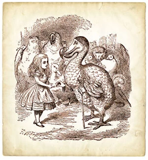 Images Dated 15th January 2015: The Dodo and Alice in Wonderland