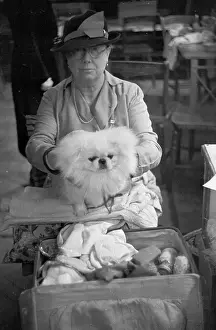 Luggage Prints: Me And My Dog