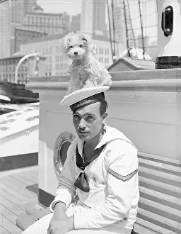 Mascot Prints: Dog atop Sailor's Hat