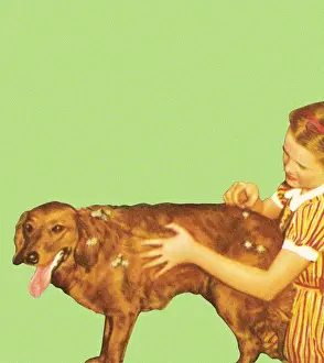Pet Equipment Prints: Dog bath