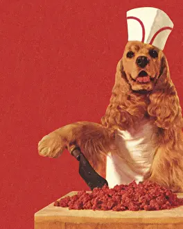 Dog Butcher Wearing Hat