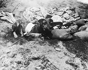 Teaching Prints: Dog Carrying Military Message