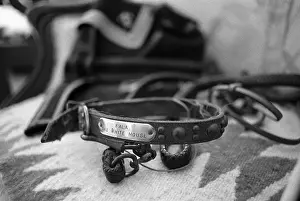 Leash Prints: Dog Collar Belonging to Fala, President Franklin D. Roosevelt's Dog