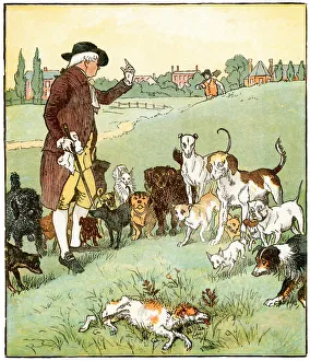Images Dated 16th April 2013: The dog it was that died
