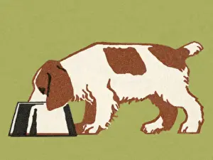 Pop Ar Prints: Dog Eating
