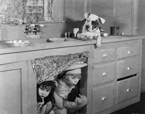 Domest Prints: Dog Hiding