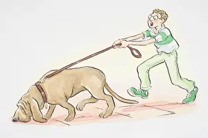 Pulling Prints: Dog on leash sniffing the ground and pulling forward the man walking it
