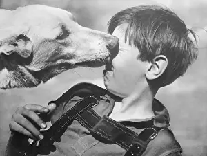 Dog Licking Face of Young Boy