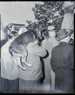 Dog On Man'S Shoulder At Eisenhower Rall