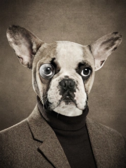 Multi Layered Effect Collection: Dog with monocle and human body
