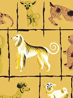 Images Dated 22nd April 2015: Dog pattern