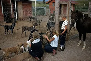 Lac0077 Prints: DOG POUND IN SOUTH DAKOTA