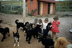 Lac0077 Prints: DOG POUND IN SOUTH DAKOTA