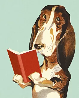 Images Dated 26th March 2014: Dog Reading a Book