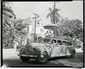 Sightseeing Prints: Dog On Roof Of Sight Seeing Car