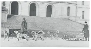 Paul Prints: Dog Sled Teams