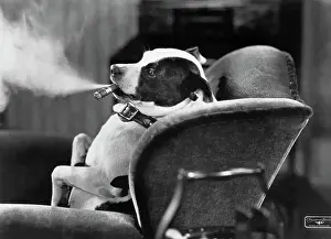 Surreal Prints: Dog Smoking Cigar in Overstuffed Chair