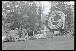 Dog Standing Near Robert F. Kennedy Gravesite